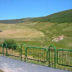 DSCN2271