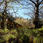 DSCN8996