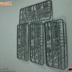 Diapositiva7