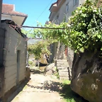 DSCN7811