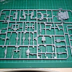DSCN4255