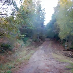 DSCN8956
