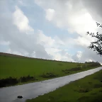 DSCN8431