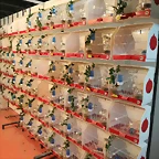 IMG_20170122_120930