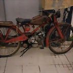 Guzzi