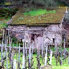 40-IMG_4545 - copia