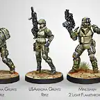 usariadna grunts