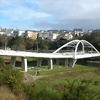 DSCN7371