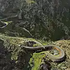 carretraCalobra0