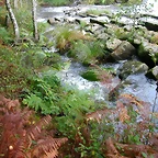 DSCN5737