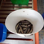DSCN7174