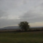 SDC11079