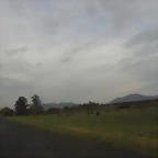 SDC11081