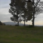 SDC11083