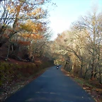 DSCN1053