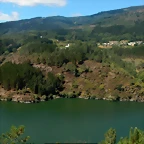DSCN4533