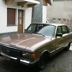 falcon pintadito