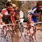 Perico-Reynolds1989-Pino-Lejarreta