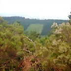 DSCN6225
