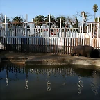 Zoo de Barcelona 06-02-11 067