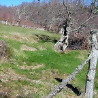 DSCN7937