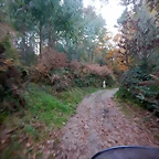DSCN0720