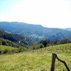 DSCN4630