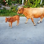 DSCN9714