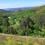 39-IMG_6407