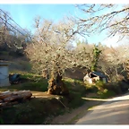 DSCN4017