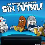 SIN FUTBOL