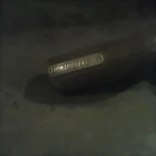 CAM00581