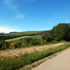 DSCN2386