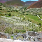 DSCN1022