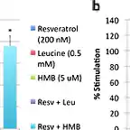 sinergia hmb y resveratrol 3