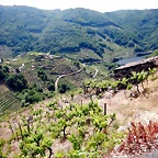 DSCN3371