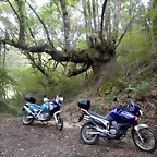 DSCN7192