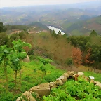 10-IMG_4503 - copia