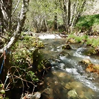 DSCN1157