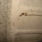 DSC03429