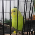 20170503_180523