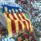 Senyera Flower