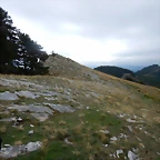 DSCN9929