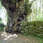 DSCN2315
