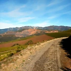 DSCN1404
