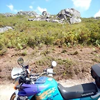 DSCN7105