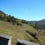 DSCN5103