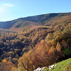 DSCN9135