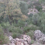 Alcublas PKL 114