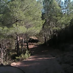 Alcublas PKL 028